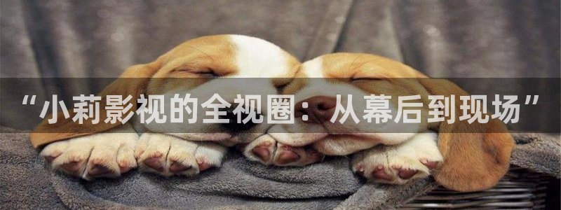 飘花影院午夜片在线观看免费：“小莉影视的全视圈：从幕后到现场”